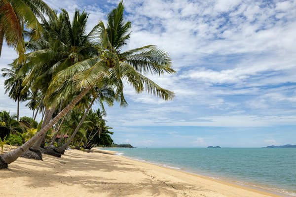 Chalets de luxe à la clusaz : expérience authentique et détente